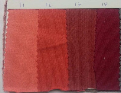 GZ- HGSG 21S純棉雙股平紋 250-260G 正面照